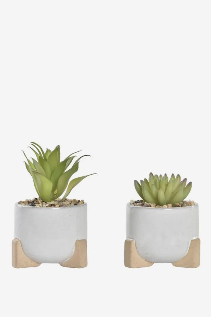 DUO OF POTS WITH CEMENT PLANT