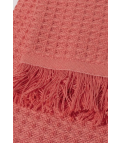 HARNAIS POLYVALENT BARI - CORAIL