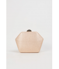 BOLSO CLUTCH BRIFIS - CHAMPÁN