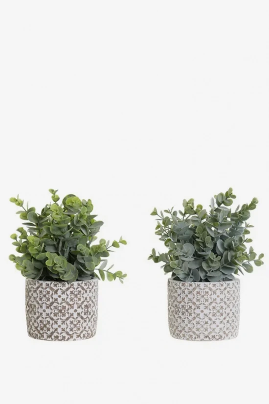PACK OF 2 CELOSIA RESIN DECORATIVE PLANTS